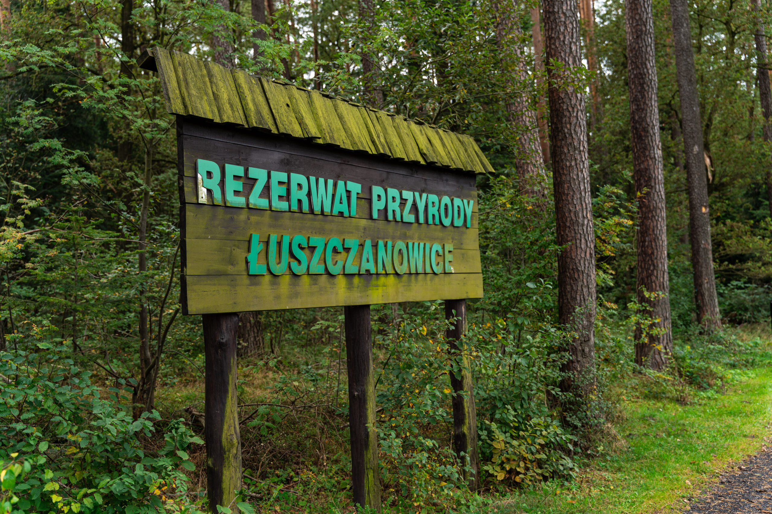 FRGK - SPRZĄTANIE LASU 2020